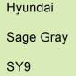 Preview: Hyundai, Sage Gray, SY9.